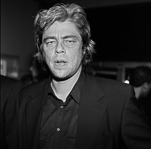 Benicio Del Toro, 2003